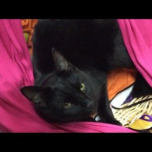 Meet your Posher, Janice